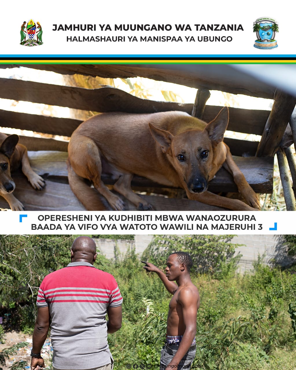 UBUNGO YAANZA OPERESHENI YA KUDHIBITI MBWA WANAOZURURA BAADA YA VIFO VYA WATOTO WAWILI KIBAMBA